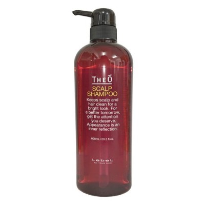 Шампунь от выпадения волос для мужчин TheO Scalp Shampoo, 600 мл.