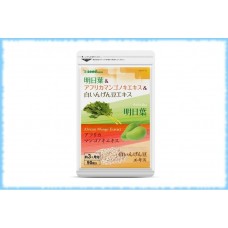 Комплекс для снижения веса Ashitaba + African Mango Extract + White Bean, курс на 30 дней (30 капсул) 
